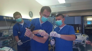 2016. godina - Prof. Meyer i prof. Kovacevic